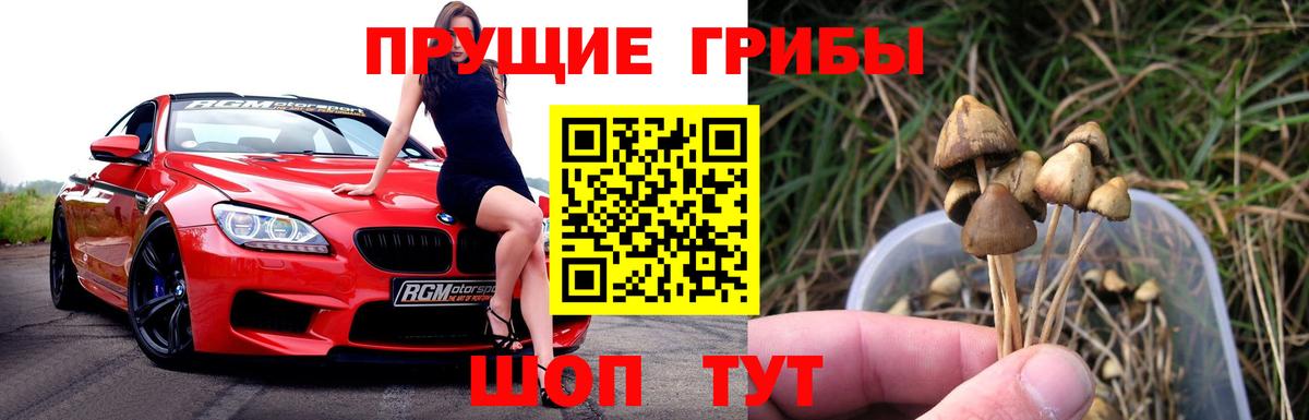 Галлюциногенные грибы прущие грибы Белореченск